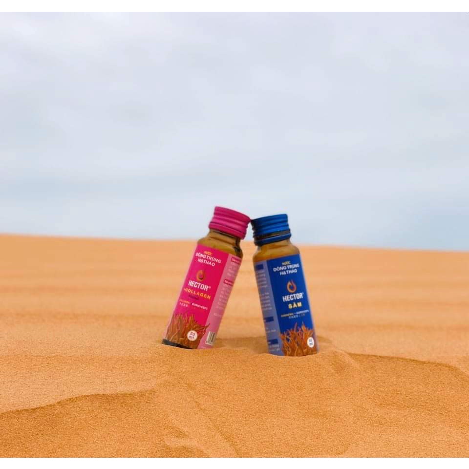 COMBO Nước Đông Trùng Hạ Thảo Hector Collagen và Hector Sâm ( 20 chai )