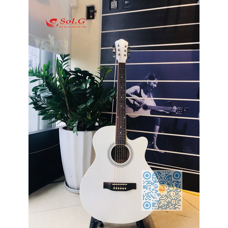 Đàn Guitar Acoustic Caravan Music HS4010WH ( Màu Trắng )