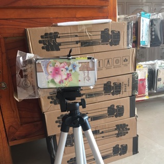 Gậy Livestream