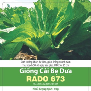 Hạt giống cải bẹ dưa 673