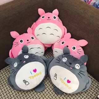 Túi sưởi toroto
