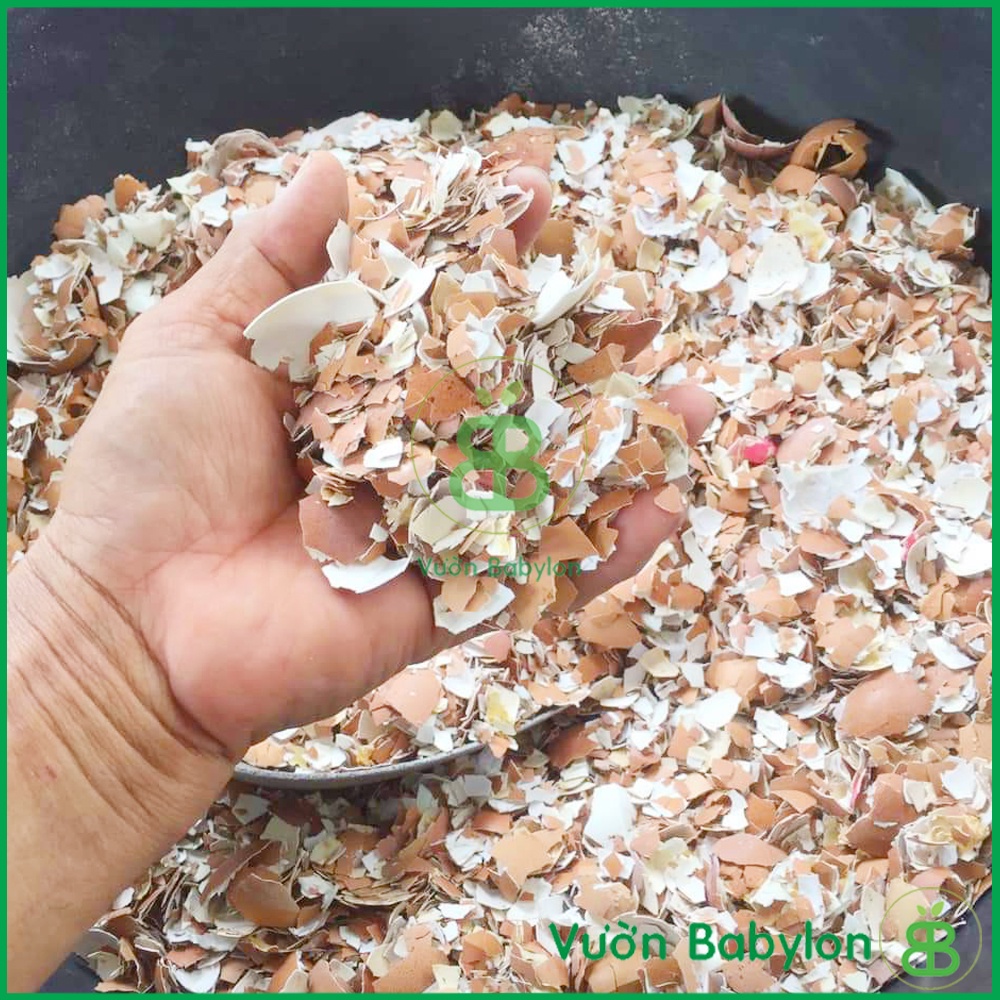 Vỏ Trứng Gà Sfarm Gói 1kg