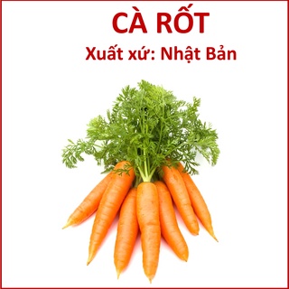 Hạt Giống Cà Rốt Lai F1 Nhật Bản (1g)