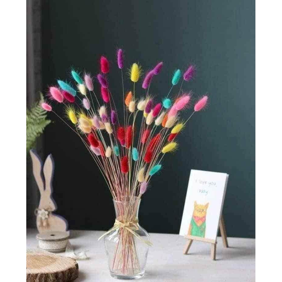 Bó 10 cành hoa đuôi thỏ Bunny tails thật sấy khô nhiều màu