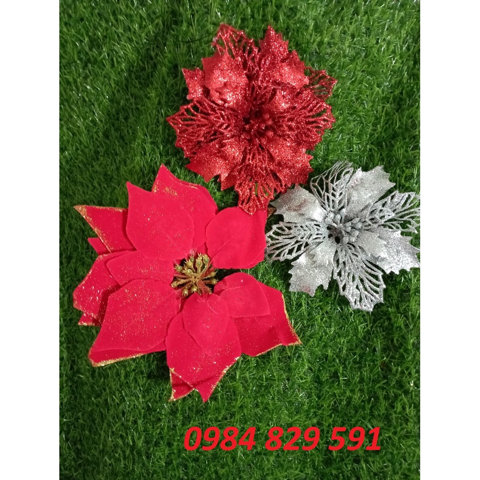 Hoa Trạng Nguyên Trang Trí Noel