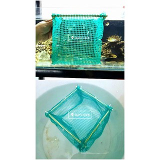 Lồng đẻ 15x15x15cm lưới lỗ 5 ly cho hồ cá