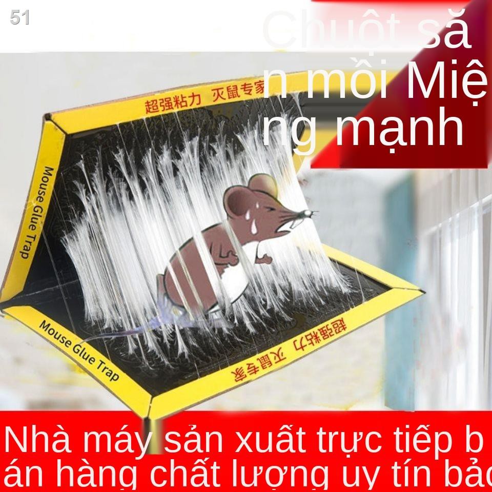 Bảng chuột ẩn dính chắc chắn miếng dán siêu để bắt và chuột, các loài gặm nhấm trong nhà, ổ cuối cùng, bán buô