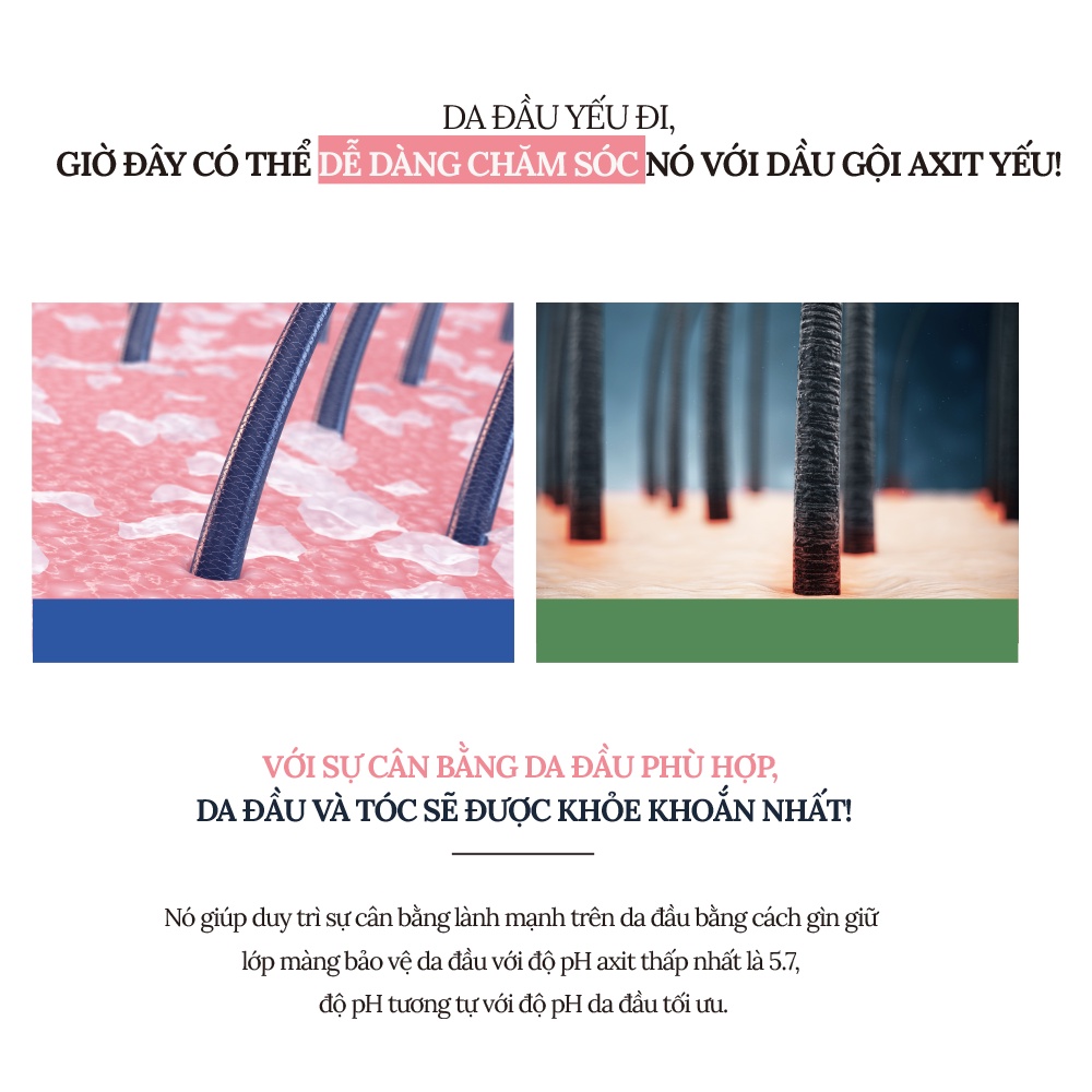 Dầu gội Dr.Smart Sakura giúp giảm gãy rụng, biotin collagen 300ml