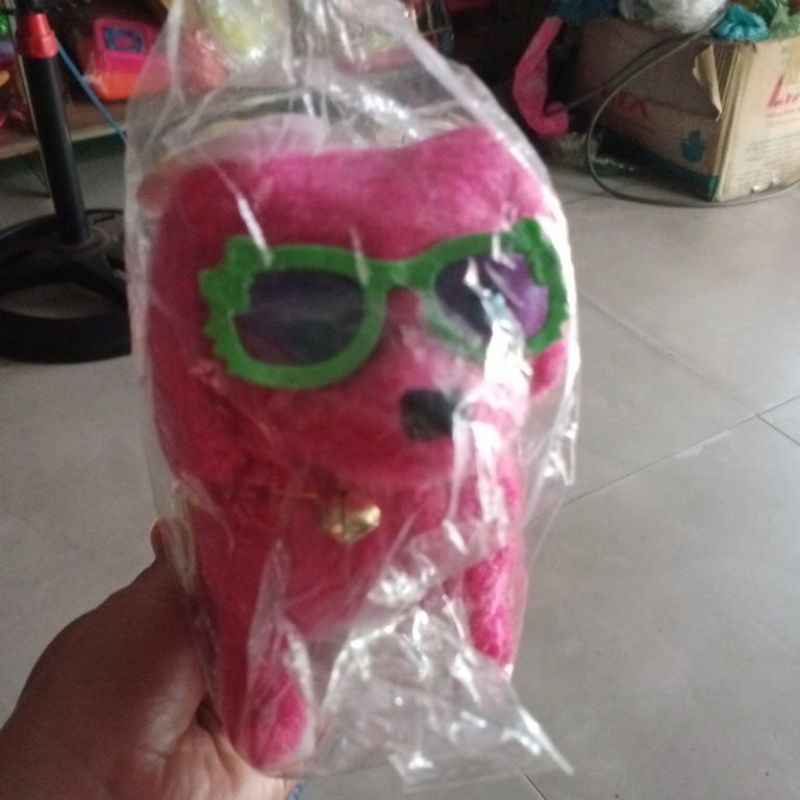 Chó  biết đi biết sủa