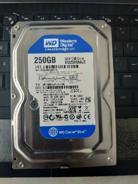 Ổ Cứng Wd Blue 3.5 Inch 250gb Sata Pc | BigBuy360 - bigbuy360.vn