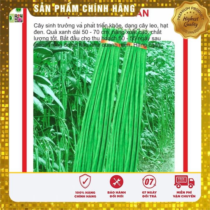 Hạt giống Đậu Đũa 20Gram [Bán Sỉ]