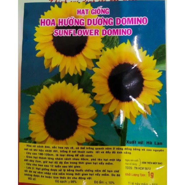 HẠT GIỐNG HOA HƯỚNG DƯƠNG DOMINO - GÓI 1 GRAM