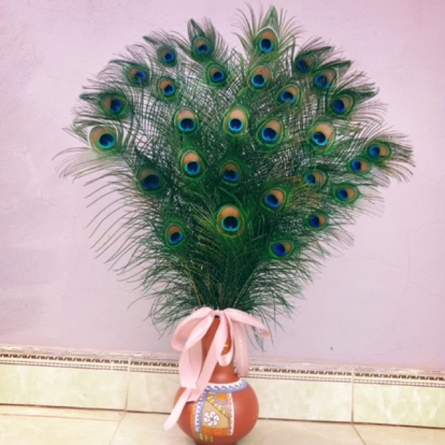 Lông công 90cm phong thủy tự nhiên | BigBuy360 - bigbuy360.vn