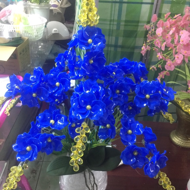 Combo bộ nguyên liệu chậu pha lê
