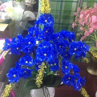 Combo bộ nguyên liệu chậu pha lê