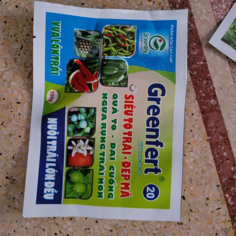 gói siêu to trái Greenfert 20 20 20 to trái đẹp mã, dai cuống, ngừa rụng trái non.