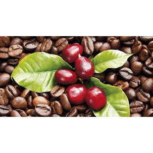 Cà phê thượng hạng pha máy phối trộn Robusta Honey và Arabica cao cấp 500 gr - Moka Cafe