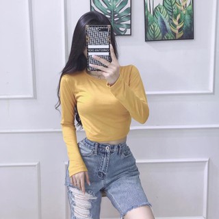 Áo Croptop Tay Dài Chất Thun Lụa dáng ôm thời trang MS:Z01