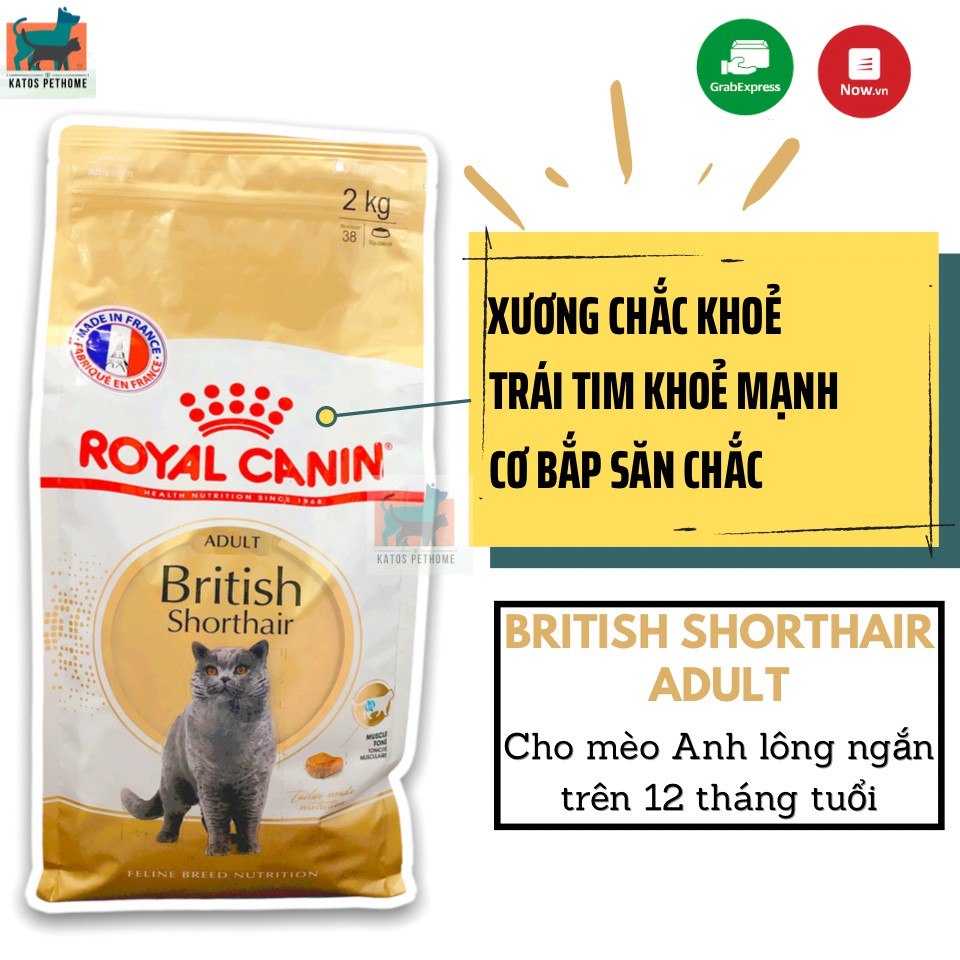 Hạt thức ăn RC British Shorthair Adult 400g