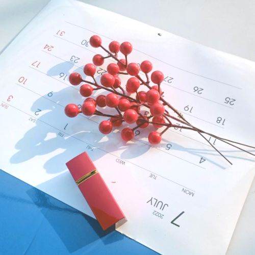 Đào đông giả mini 1 cành dài 20 cm gồm 12 quả dùng để decor, trang trí.