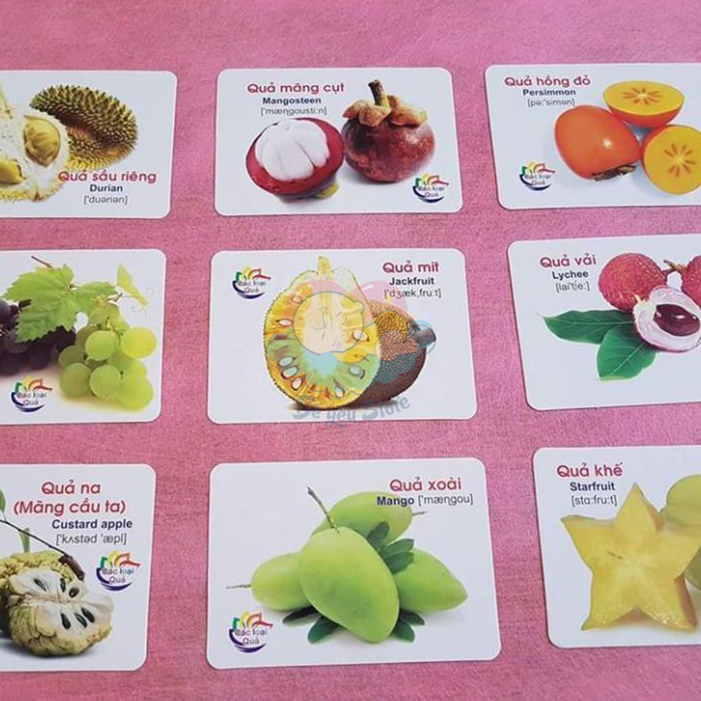 Bộ thẻ học thông minh 16 chủ đề tiếng Anh tiếng Việt giúp bé vừa học vừa chơi