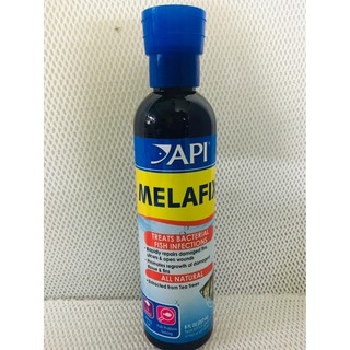 Dung dịch kháng khuẩn cao cấp MELAFIX 237 ML dành cho cá Rồng, Koi
