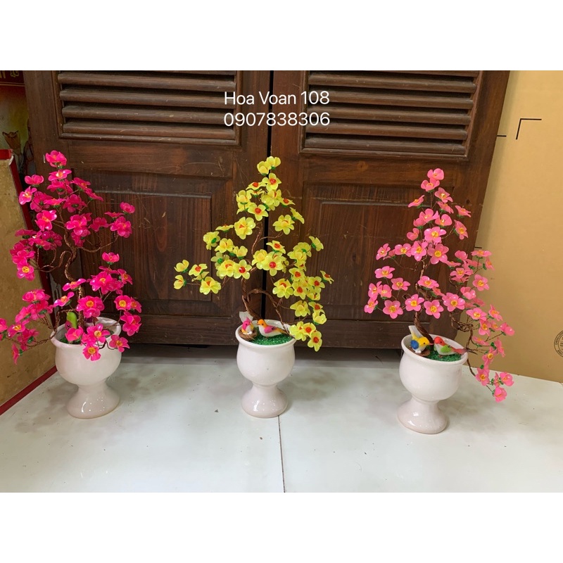 cây bonsai- cây kiểng