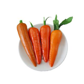 Cà Rốt Giả Trang Trí Nhà Cửa