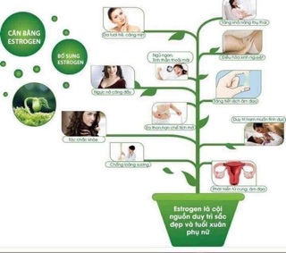 DIỆP LỤC COLLAGEN( COLLAGEN GREEN POWDER)