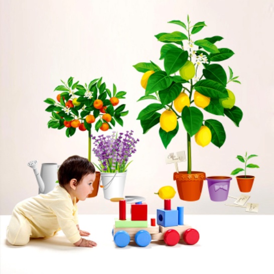 Decal trang trí tường - Những chậu cây ăn quả