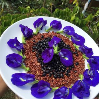 Trà gạo lức hoa đậu biếc- hộp 500g