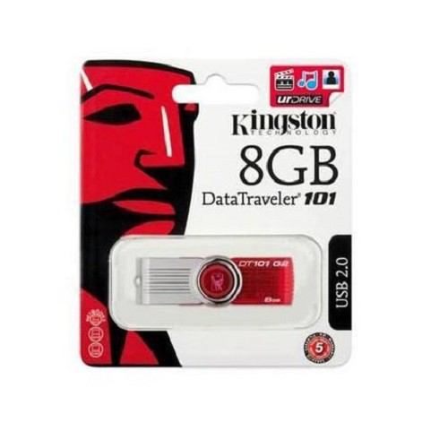 Usb Kington 2.0 8G