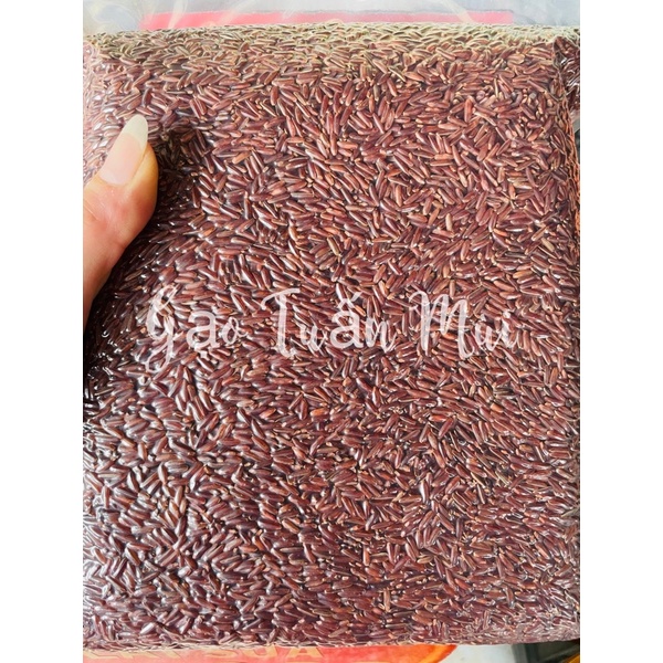 Gạo Lức Huyết Rồng (Túi 2ký Hút Chân Không )