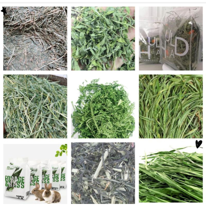 Các loại cỏ khô thức ăn cho Thỏ, bọ ú tổng hợp