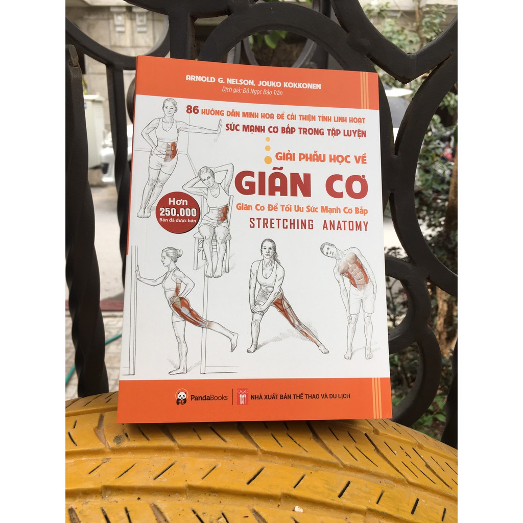 Sách Combo 3 cuốn Giải phẫu học về giãn cơ + Ăn và chay + Tập chạy không khó - Pandabooks