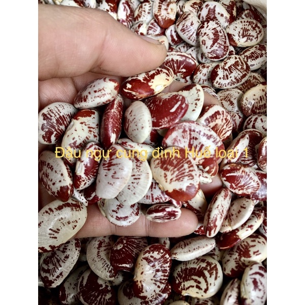 1kg Đậu ngự cung đình Huế ( hạt quê đẹp loại I)