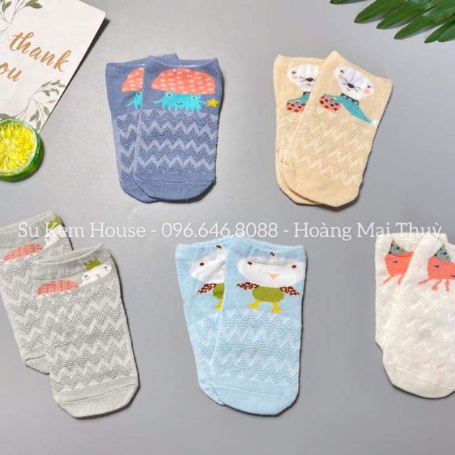 Tất lưới Tinny