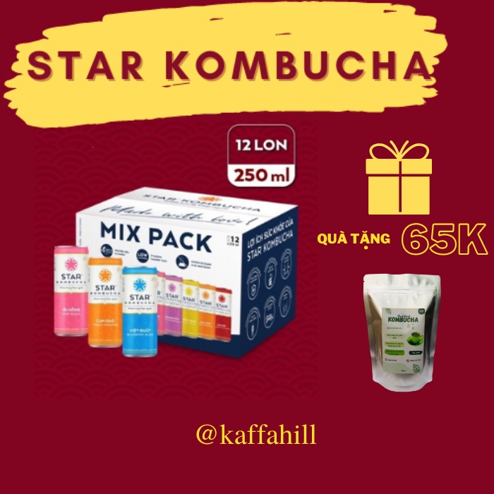 Trà Star Kombucha - Thùng 12 Lon All in One - Mix 12 vị - Bổ dưỡng - Tăng cường Hệ miễn dịch