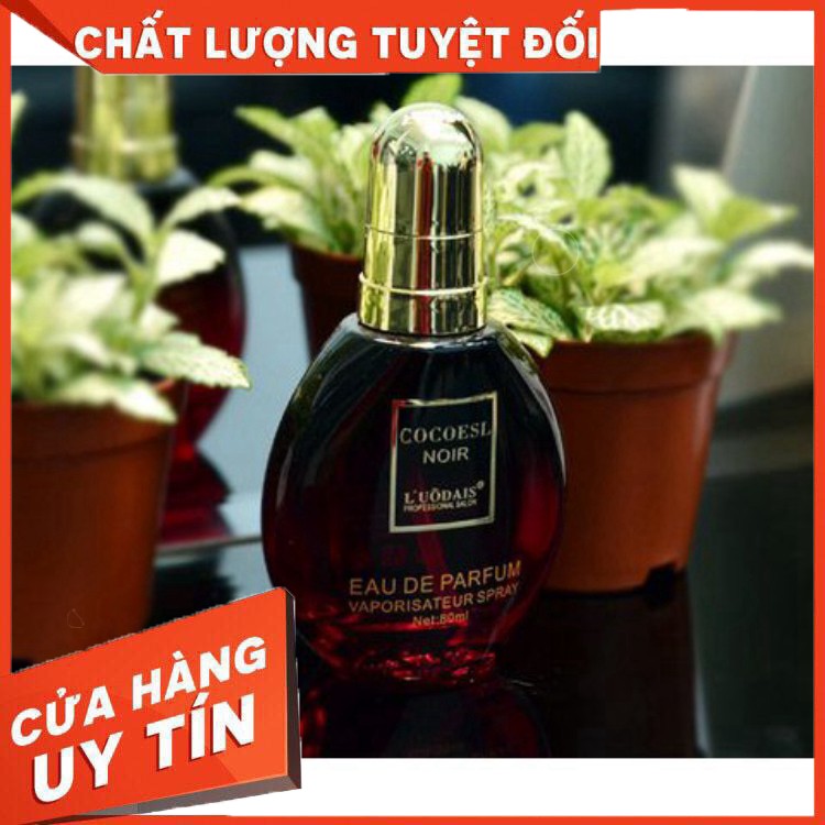 Tinh dầu dưỡng tóc COCOESL NOIR EAU DE PAFUM
