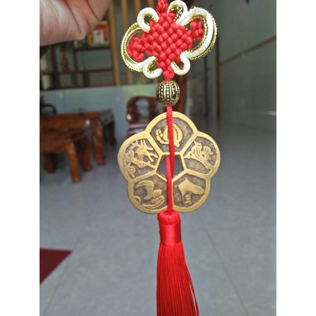 Đồng Xu Hoa Mai Kim Tiền, Đồng Xu Bỏ Ví May Mắn | BigBuy360 - bigbuy360.vn