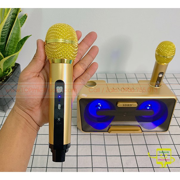 Loa Karaoke Bluetooth SDRD SD301 Kèm 2 Micro