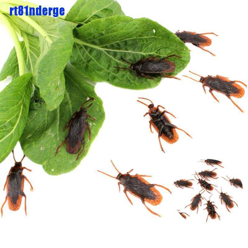 Set 10 Con Gián Giả Bằng Cao Su Dùng Để Trang Trí