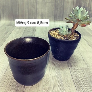 Chậu gốm nhật mini - khoan lỗ free - mật gốm chuyên chậu mini trồng sen đá, xương rồng