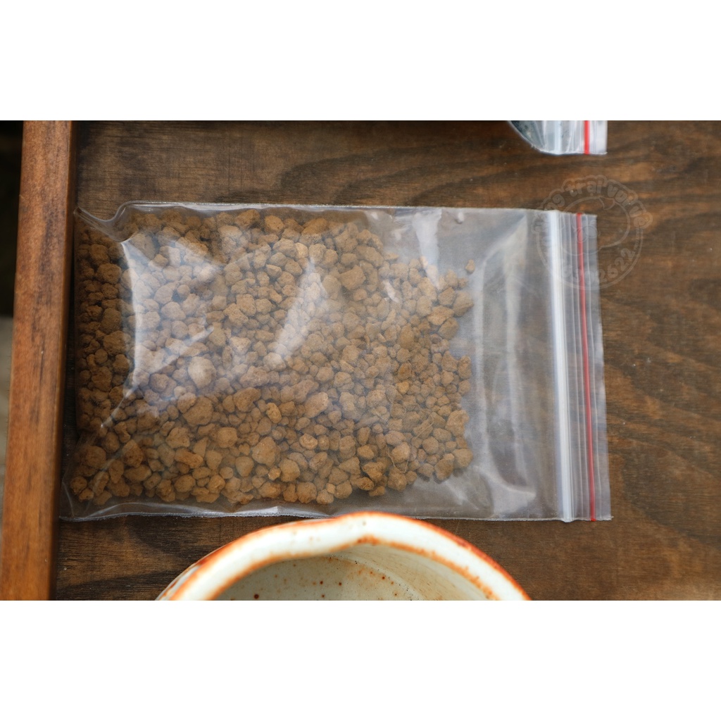 Bộ KIT Củ ĐỒNG TIỀN/ BÌNH VÔI THÁI