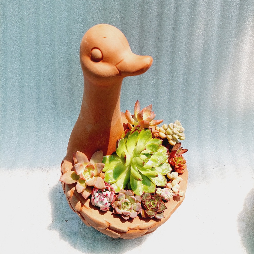 Chậu đất nung, Chậu sen đá - Vịt mẹ ôm con, miệng chậu 13cm, chiều cao 29cm