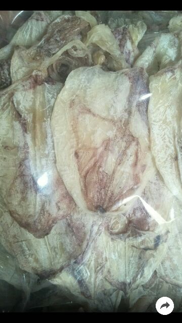 [Mã 77FMCGSALE1 giảm 10% đơn 250K] 10 con mực mini y hình Giá Chỉ 55k | BigBuy360 - bigbuy360.vn