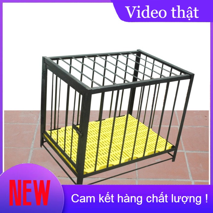 po555  Tấm lót sàn chuồng chó