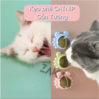 Siêu Phê  Kẹo liếm Catnip