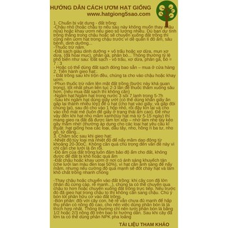 VẠN THỌ PHÁP ĐỎ CAM RĐ 836 (1gr)