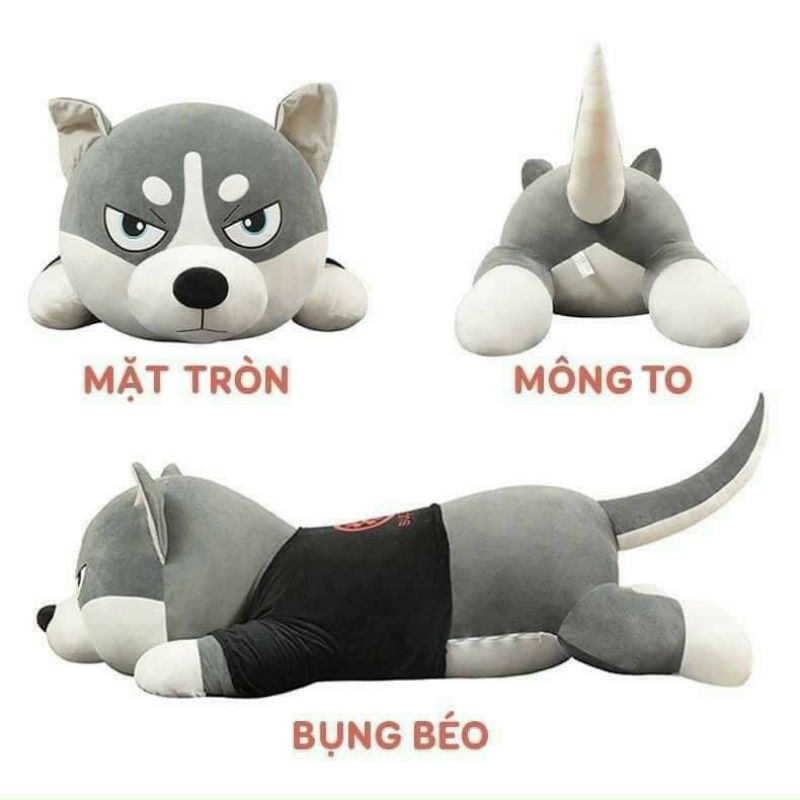 Gấu bông chó ngáo HUSKY co dãn 4 chiều mềm mịn